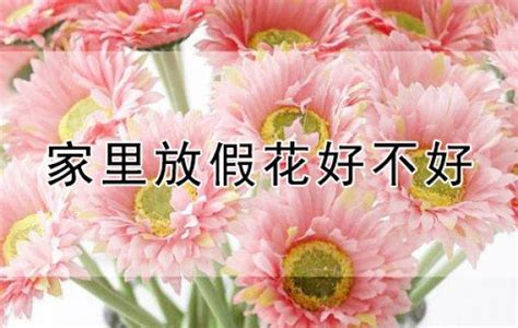 为什么家里不能放假花 旺意思